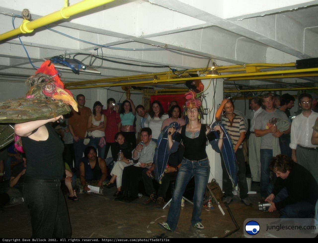 Woman Holds Bird on Her Head at Wedding Reception