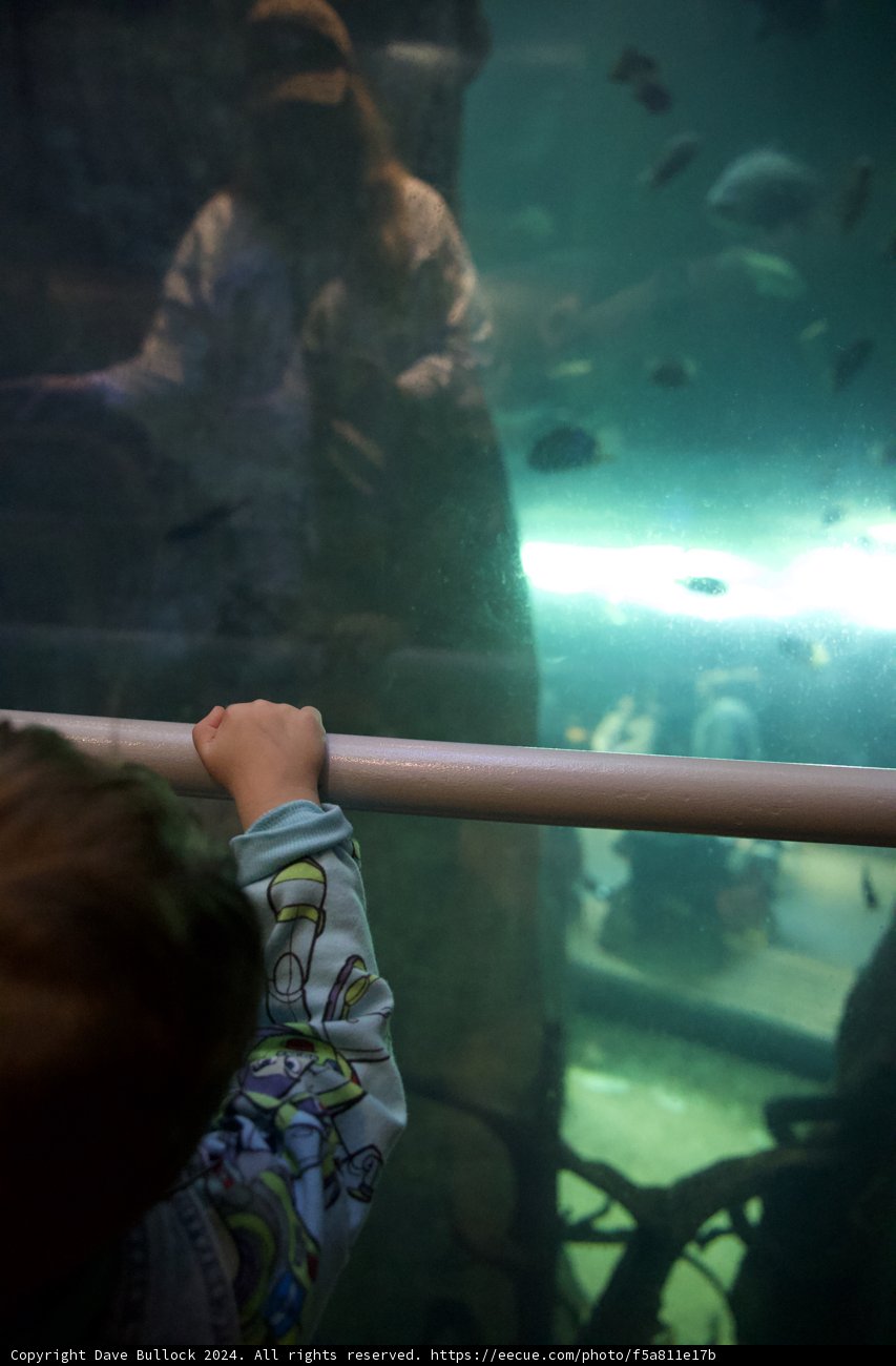 Exploring Underwater Wonders