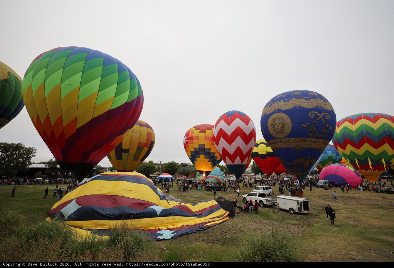 Colorful Hot Air Balloons Fill the Morning Sky