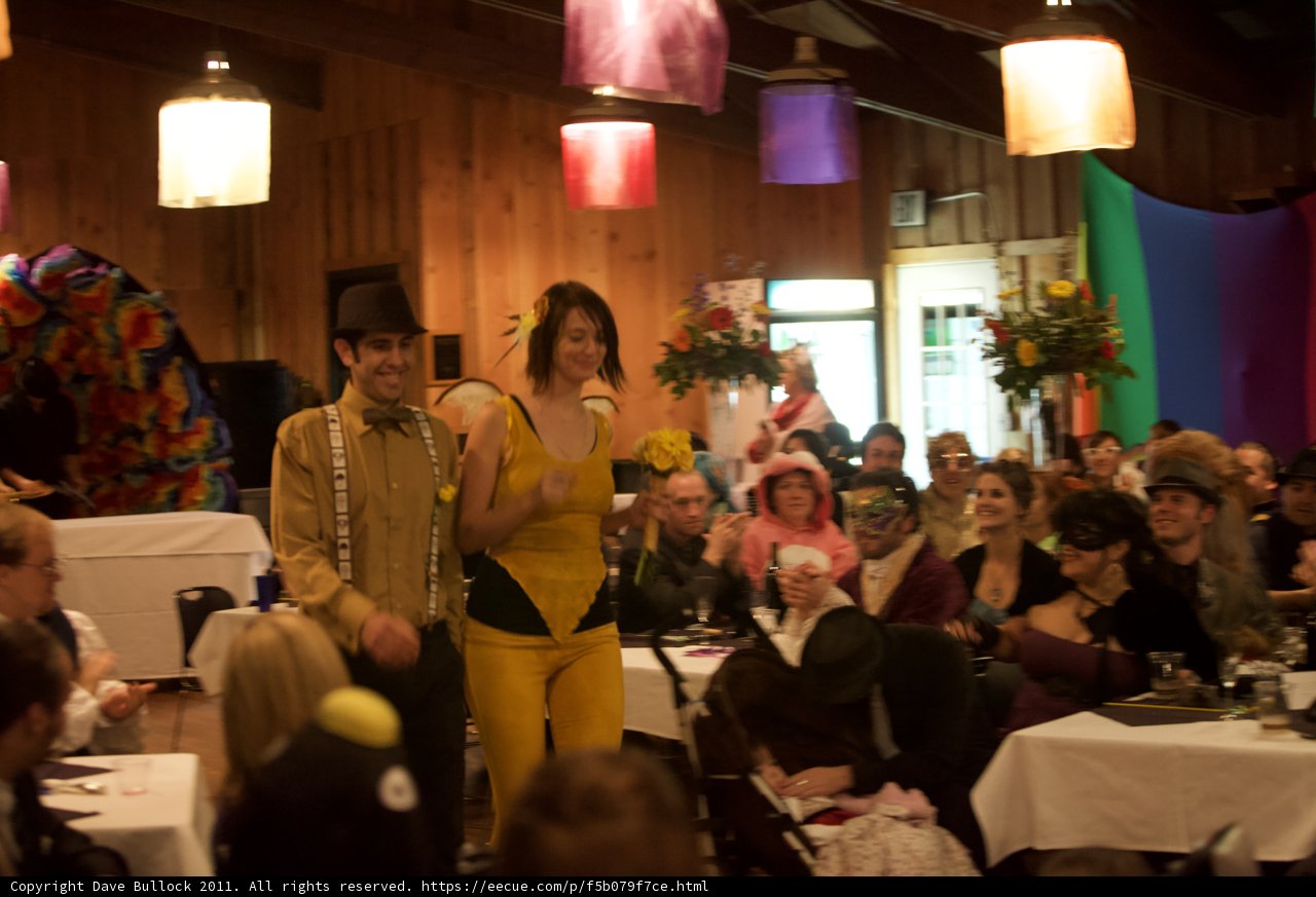 Costumed Couple at the 2011 Wickstrom Wedding