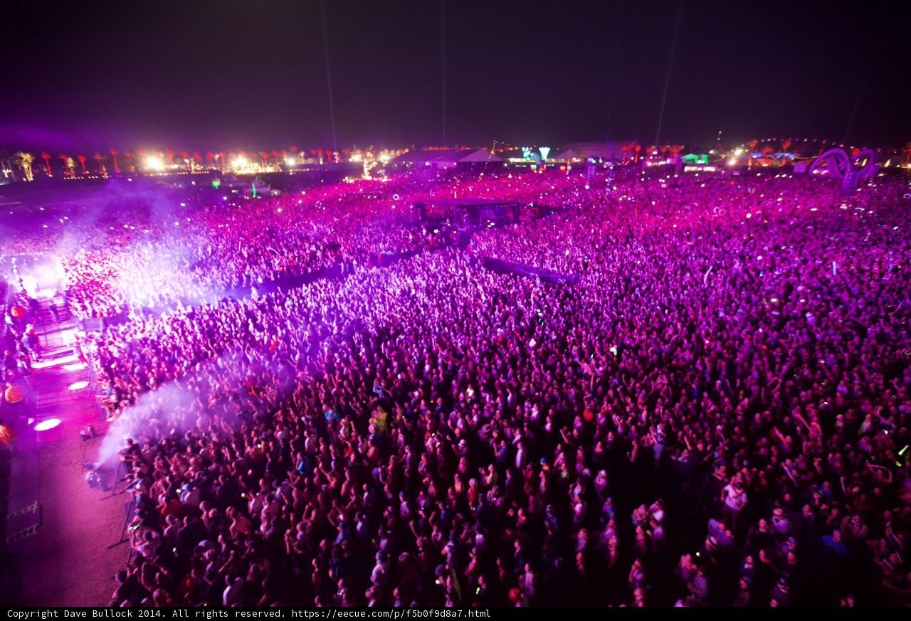 Purple Haze Fest