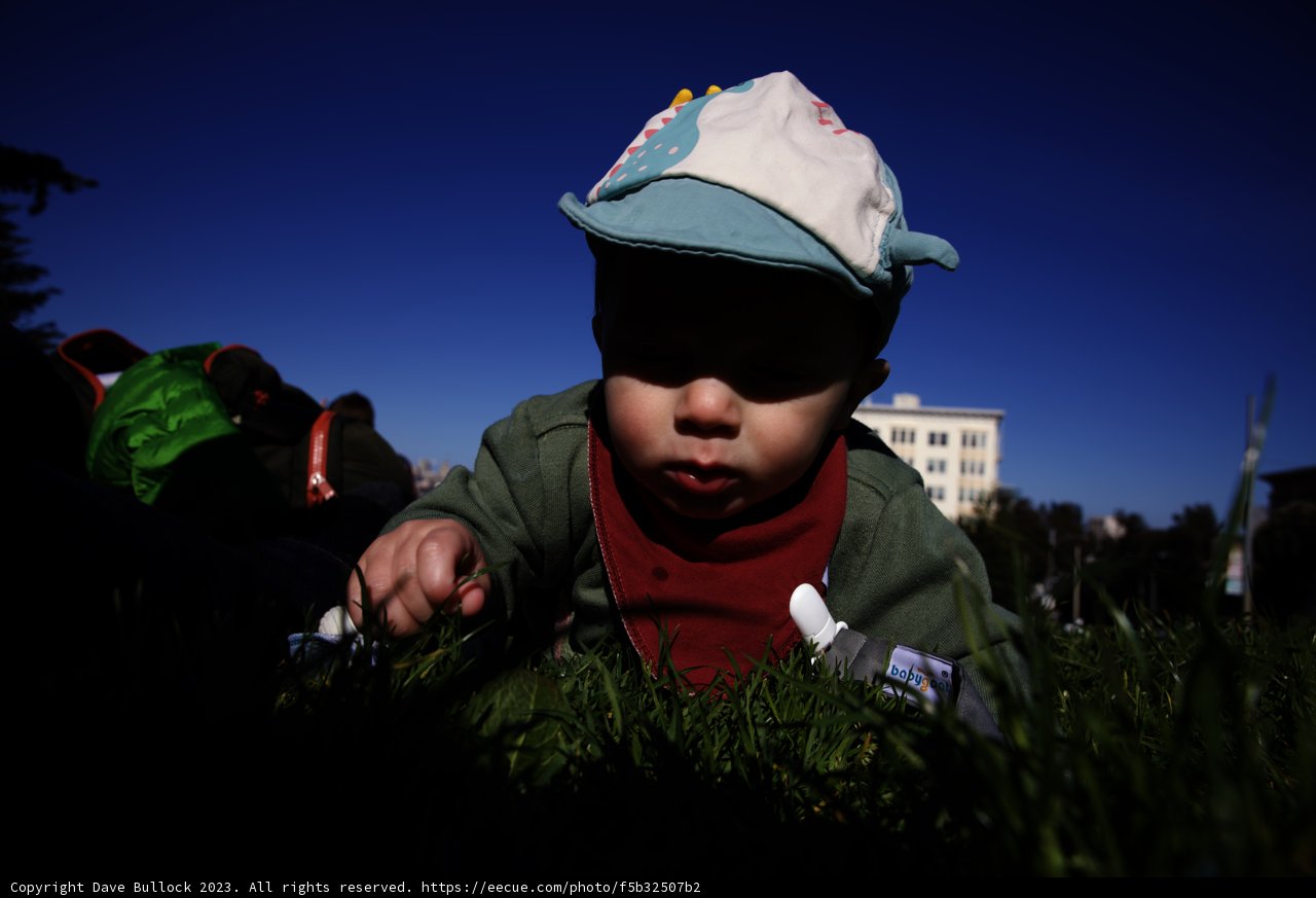 A Sunny Day in Alamo Square