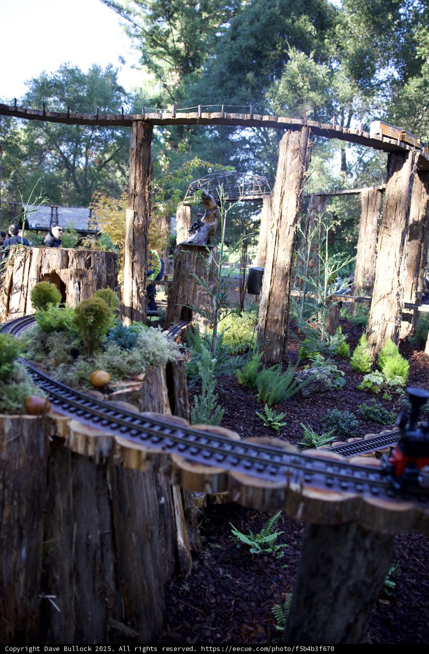 Whimsical Tracks in Thistlewyck