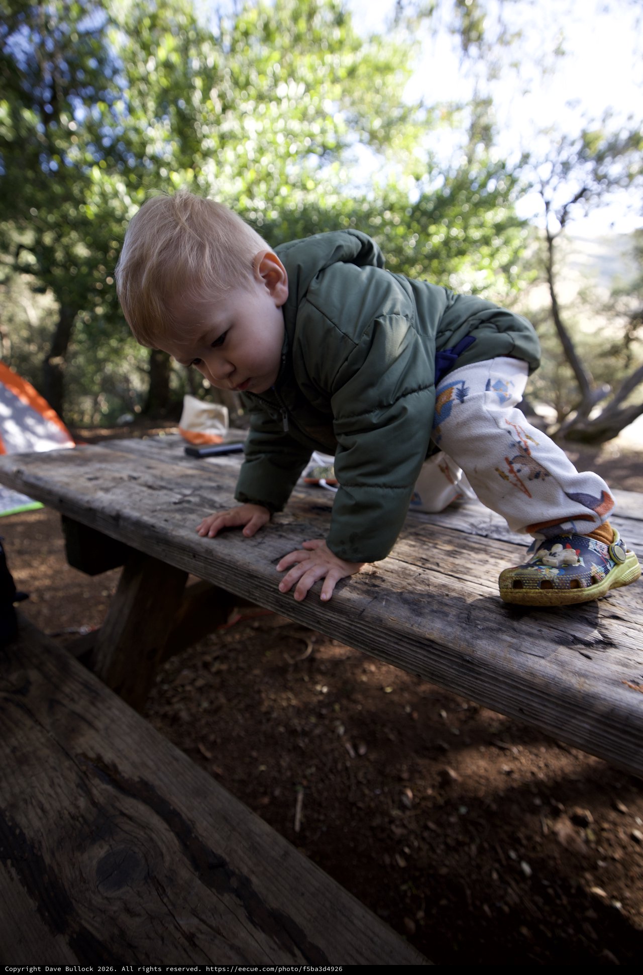 Fearless Toddler Conquers the Campsite Picnic Table