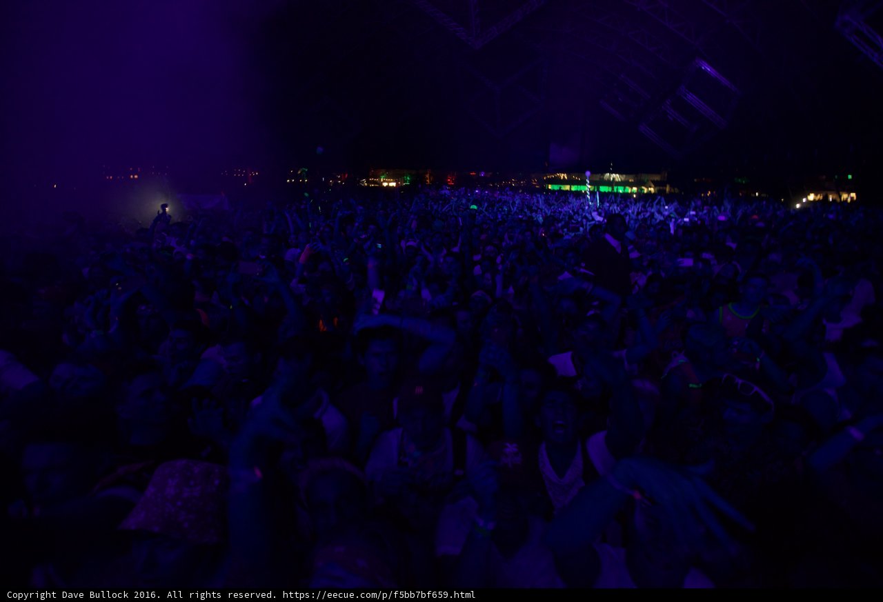 Purple Haze