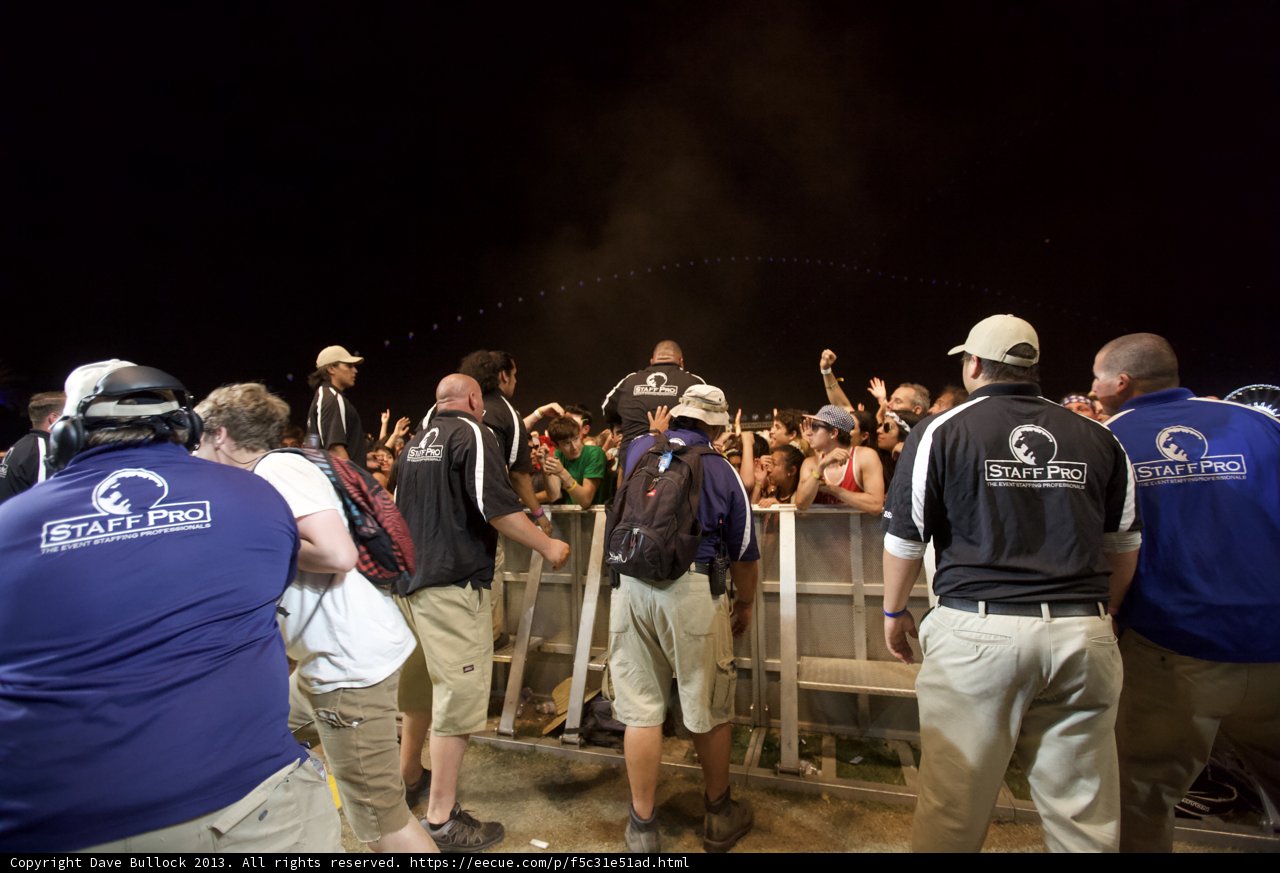 Nighttime Fence Gathering