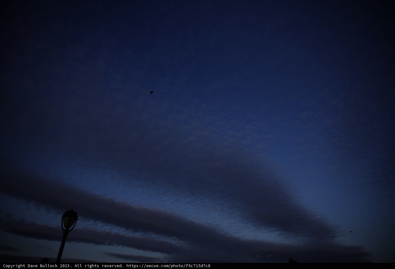 Soaring High in Napa Skies