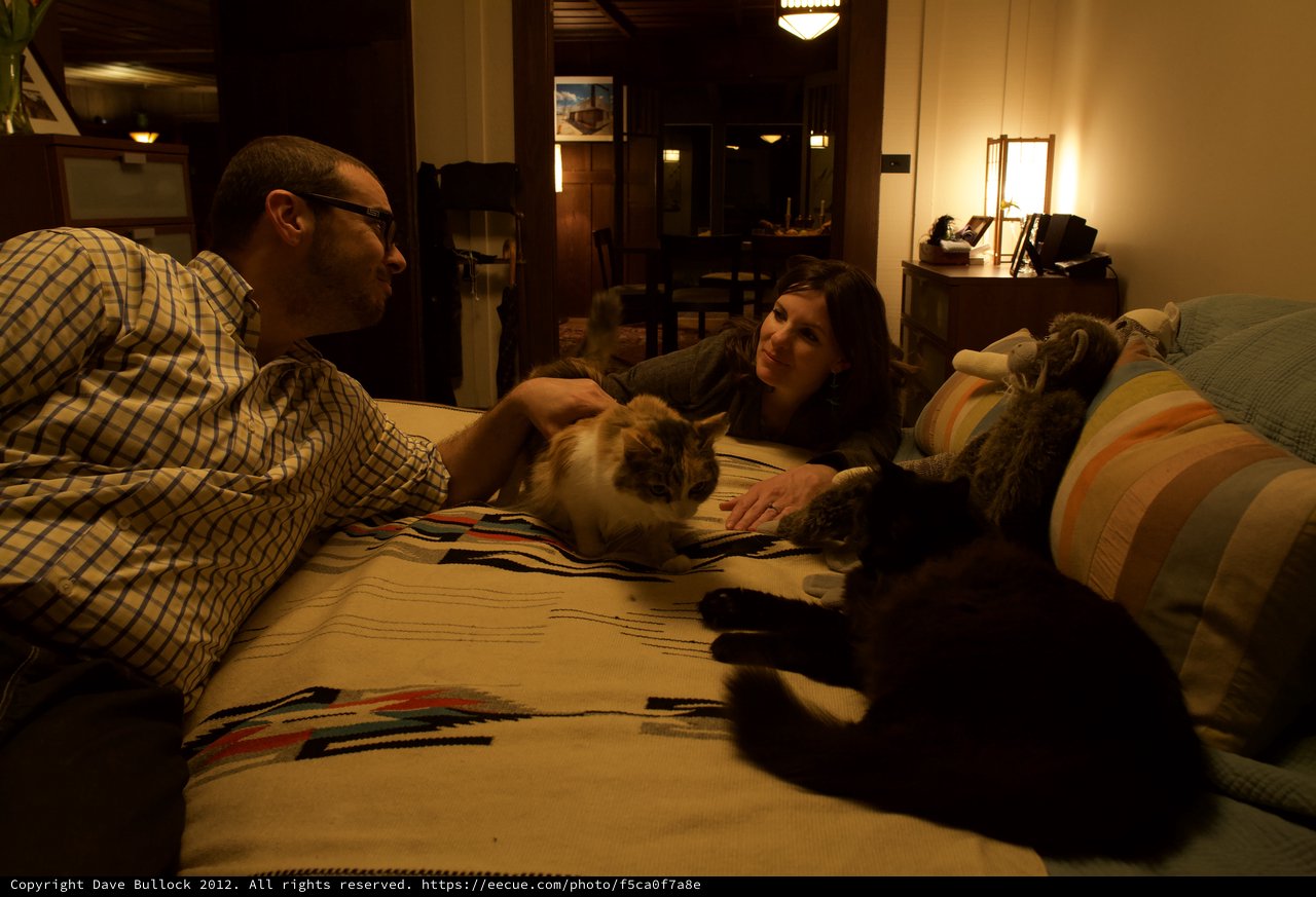 Couple and Cats Share a Cozy Evening at Home