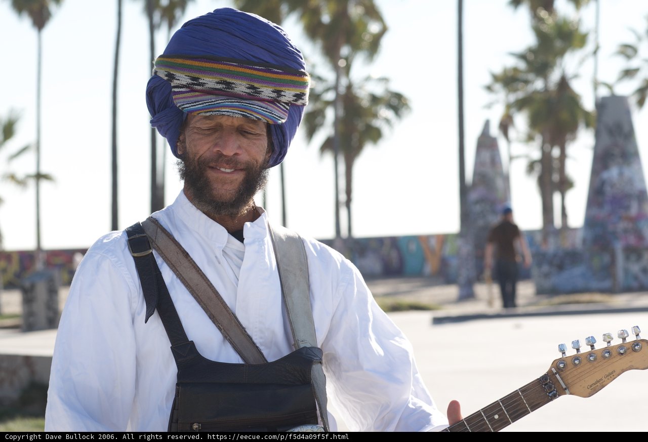 Turbaned Musician with a Guitar by the Palm Tree