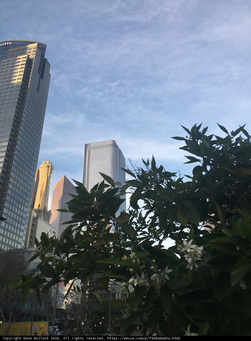 Metropolis in the Park