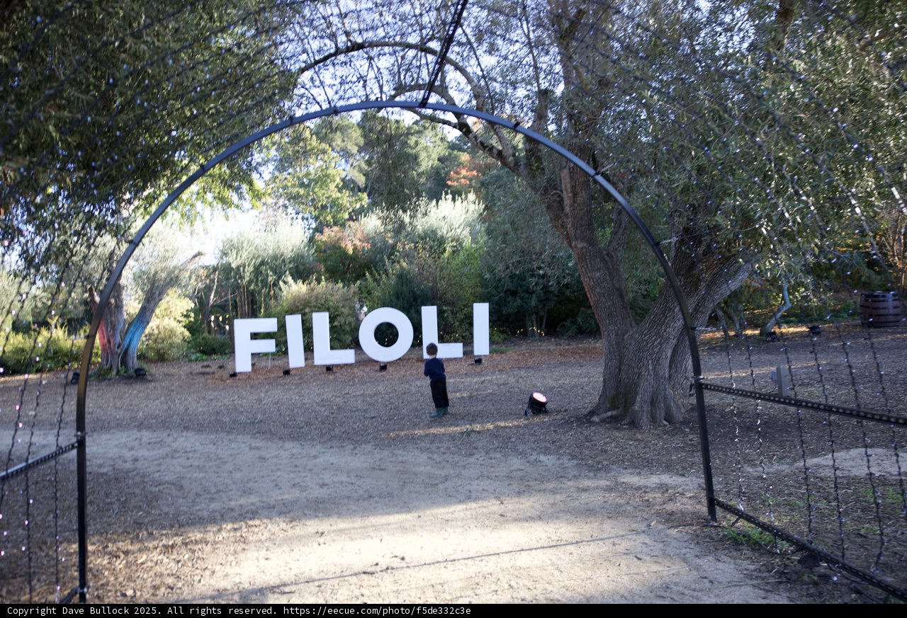 Exploring Filoli's Enchanted Gardens