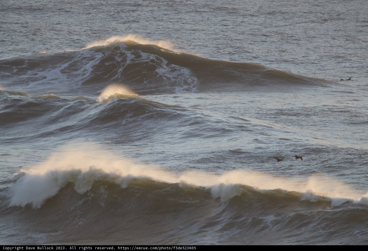 Mavericks' Big Surf Day Extravaganza