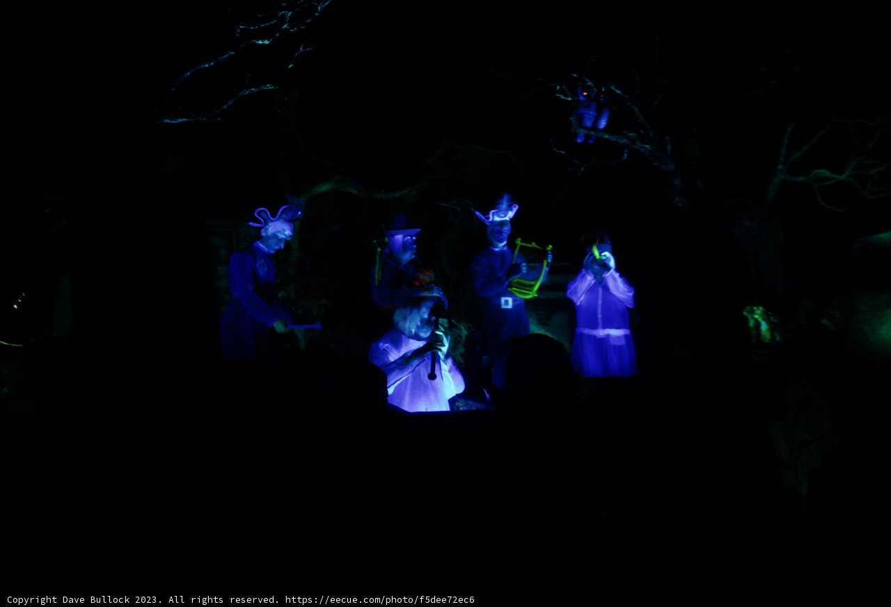 A Whimsical Night of Costumes and Camaraderie