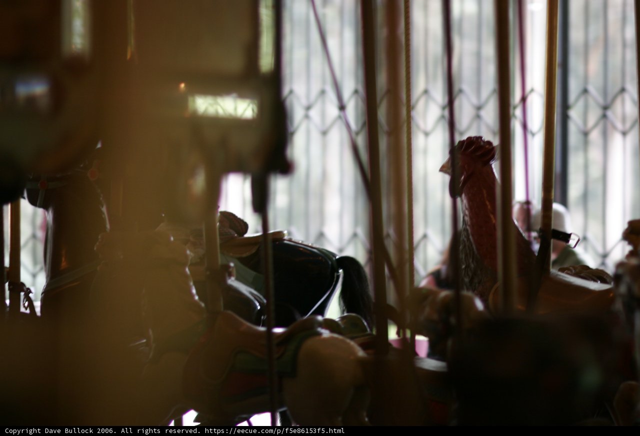 Window Horse Carousel