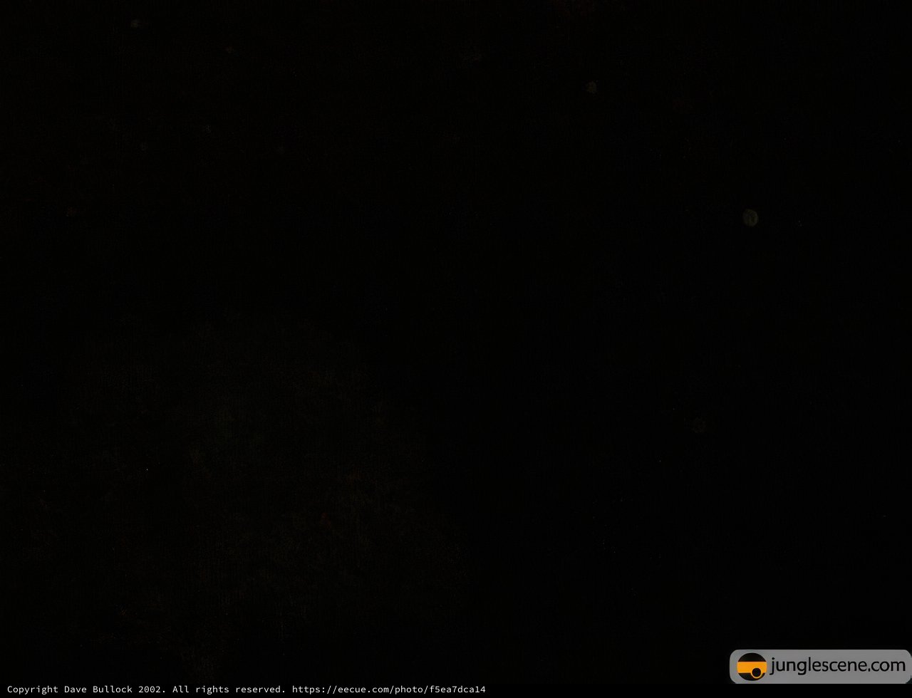 Dark Night Sky
