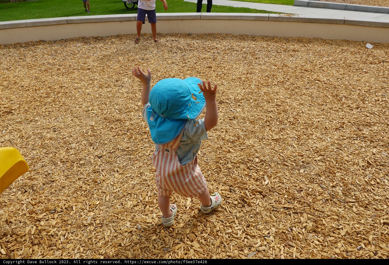 Summertime Fun in the Park - 2023