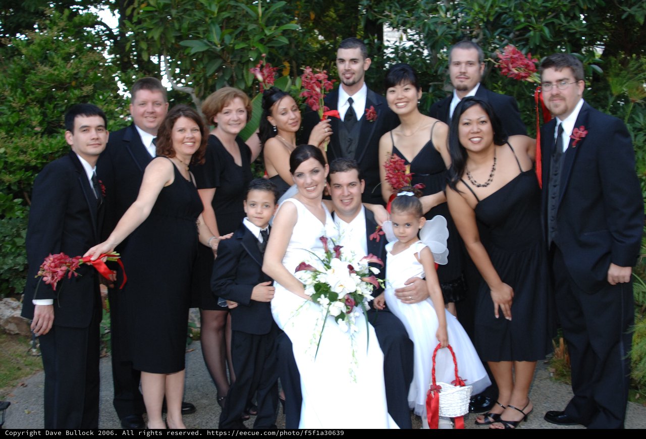 Joyful Wedding Party Celebration in Garden Setting