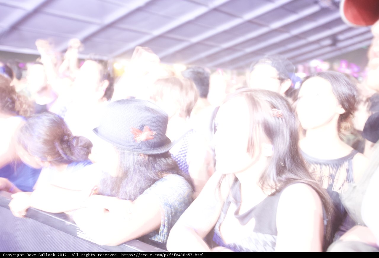 One Hat in a Sea of Concertgoers