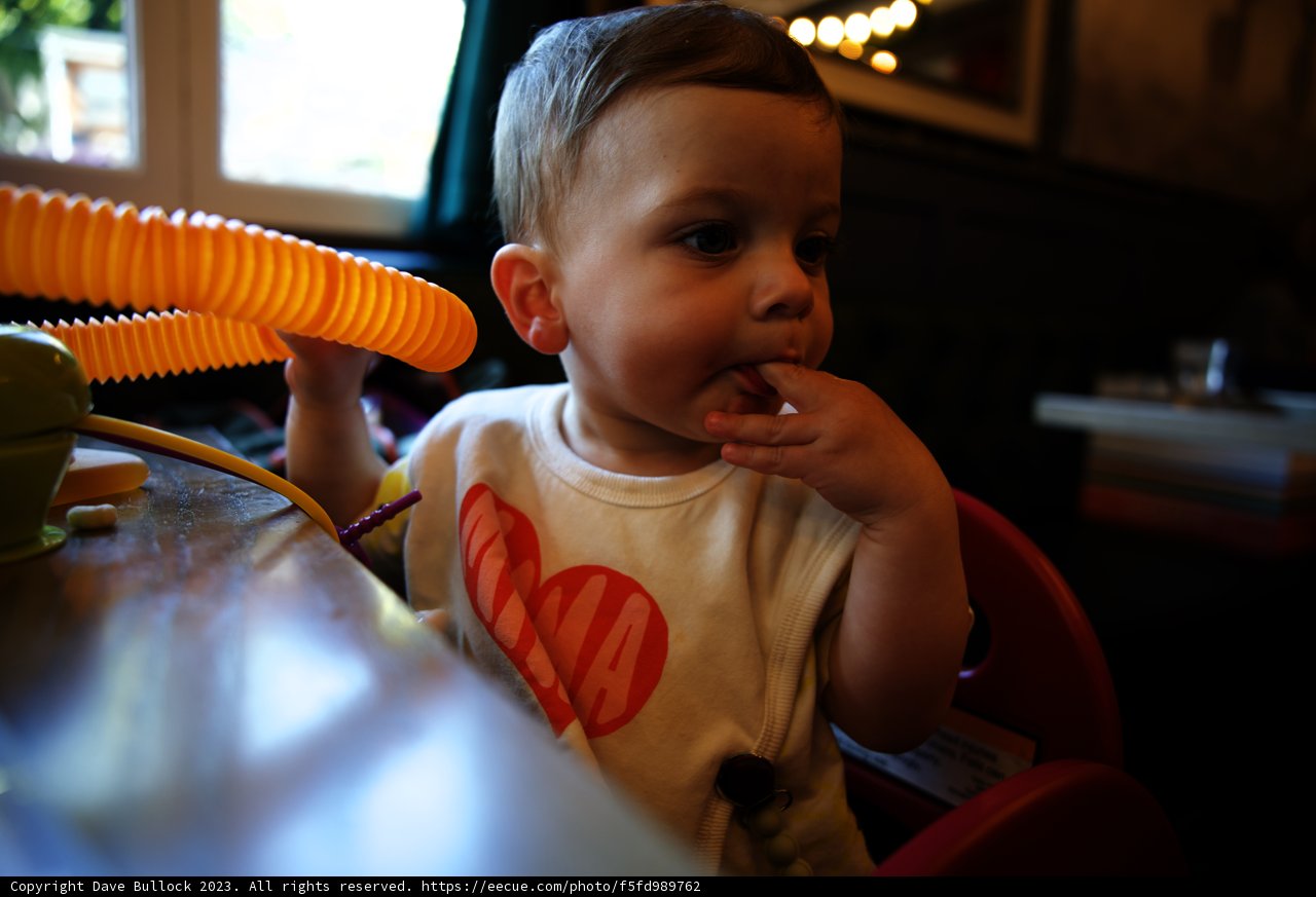 Wesley's Playful Mealtime