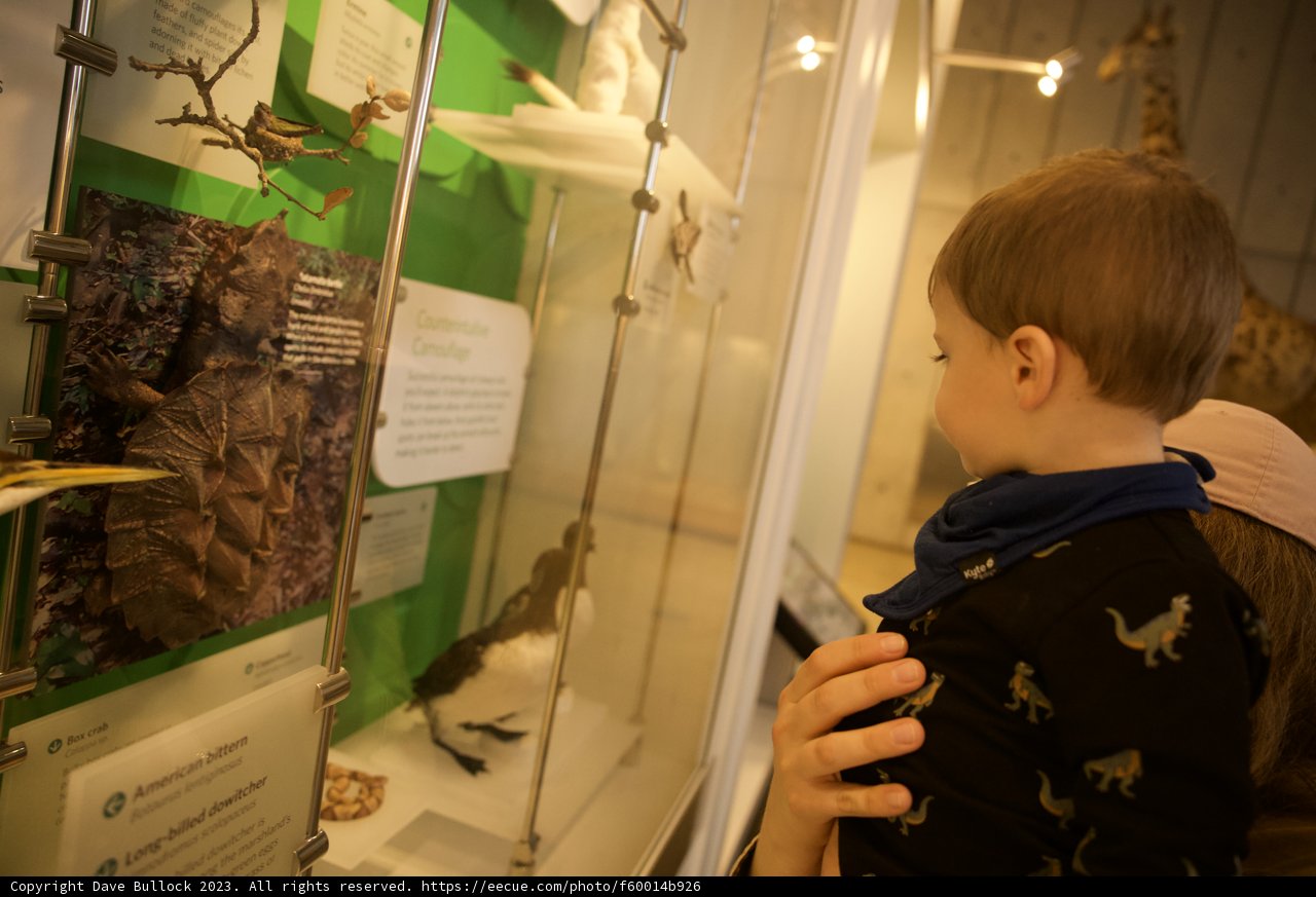 A Day at the Museum