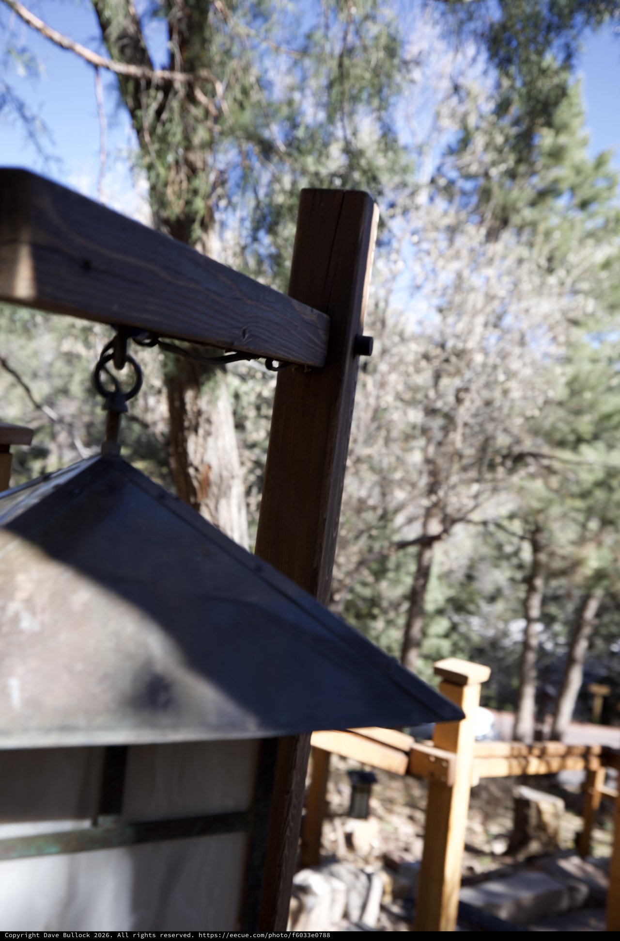 Rustic Bell Tower Against Ponderosa Pines in New Mexico
