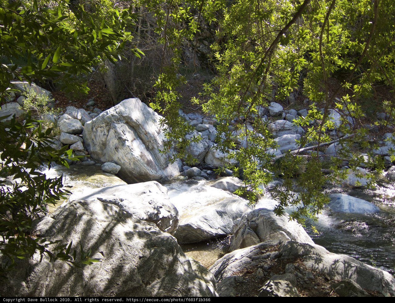 Tranquil Creek in the Wilderness