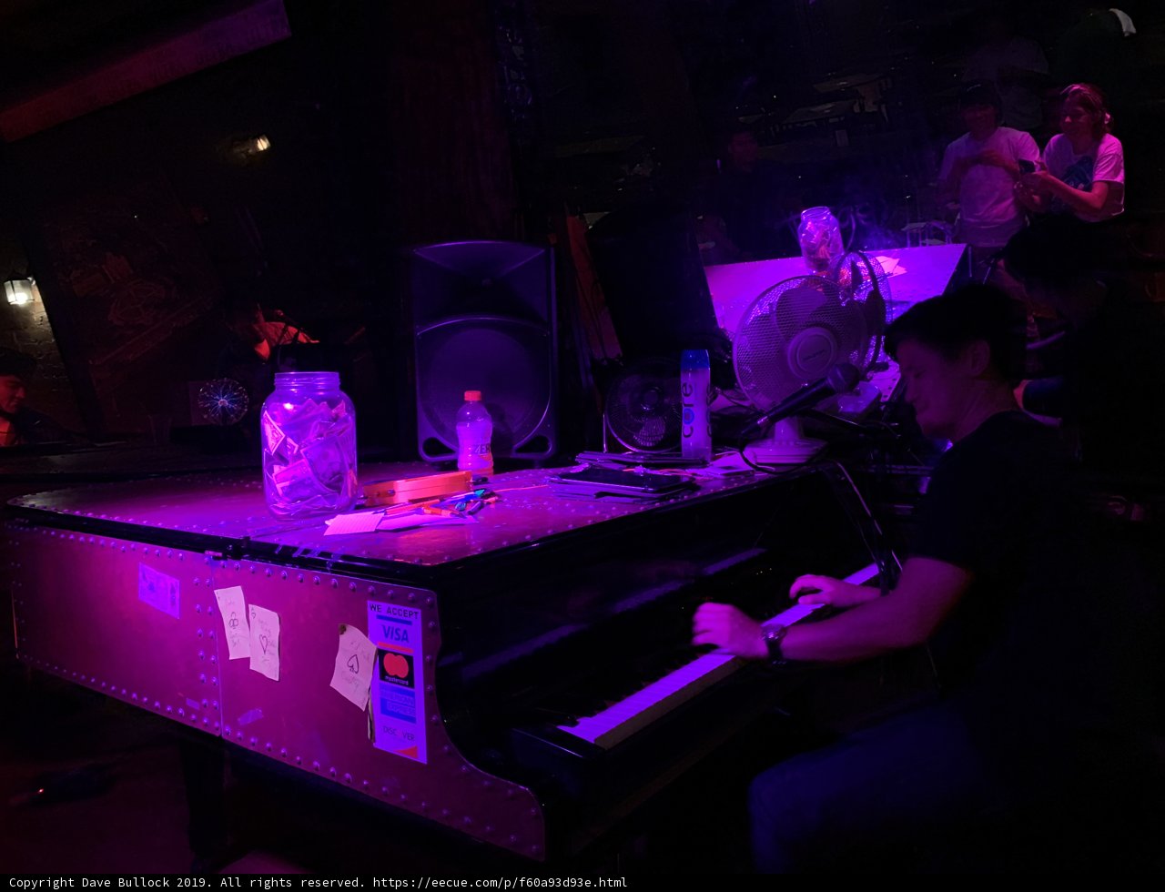 Midnight Serenade