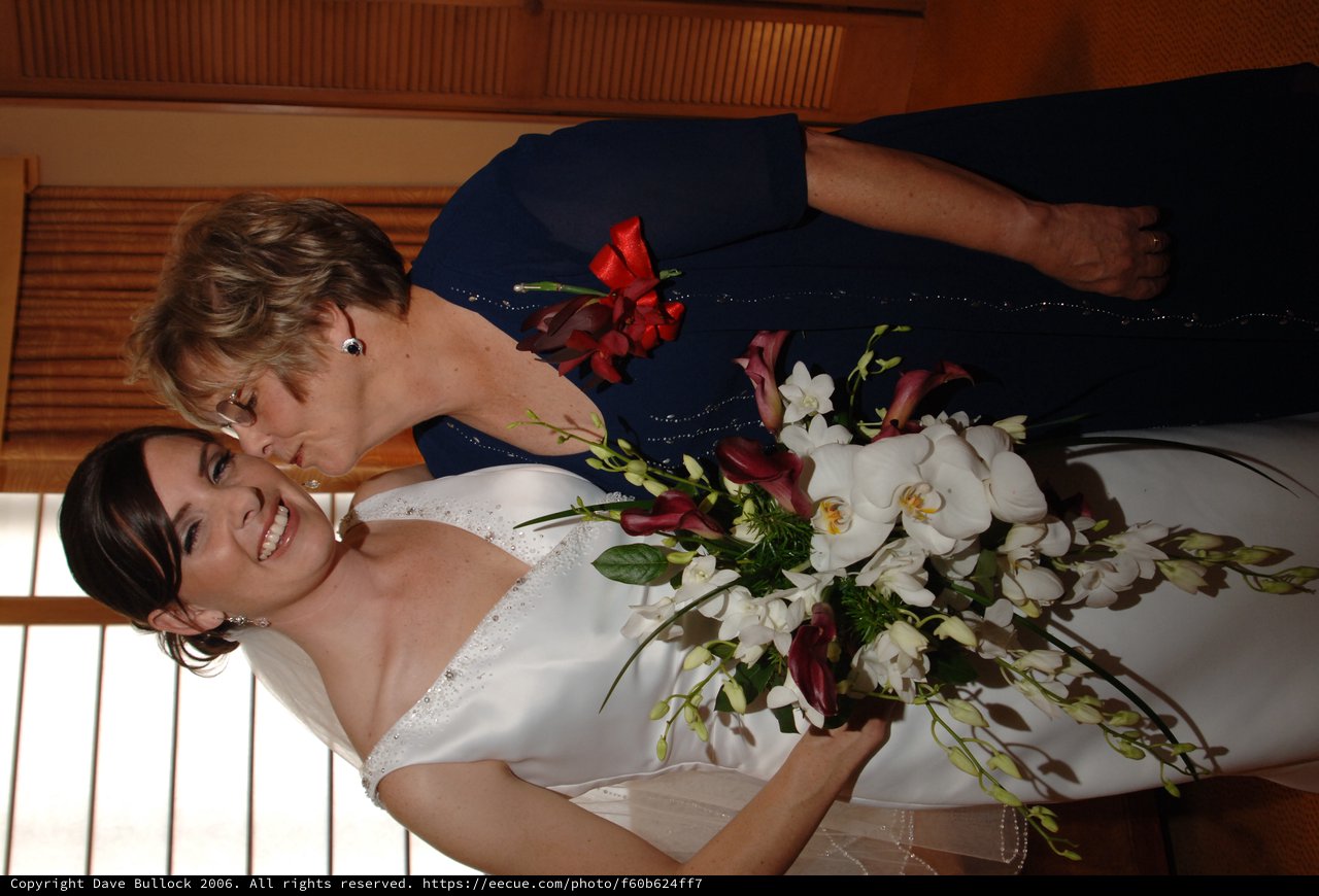 Bride and Mother Share Tender Wedding Day Moment