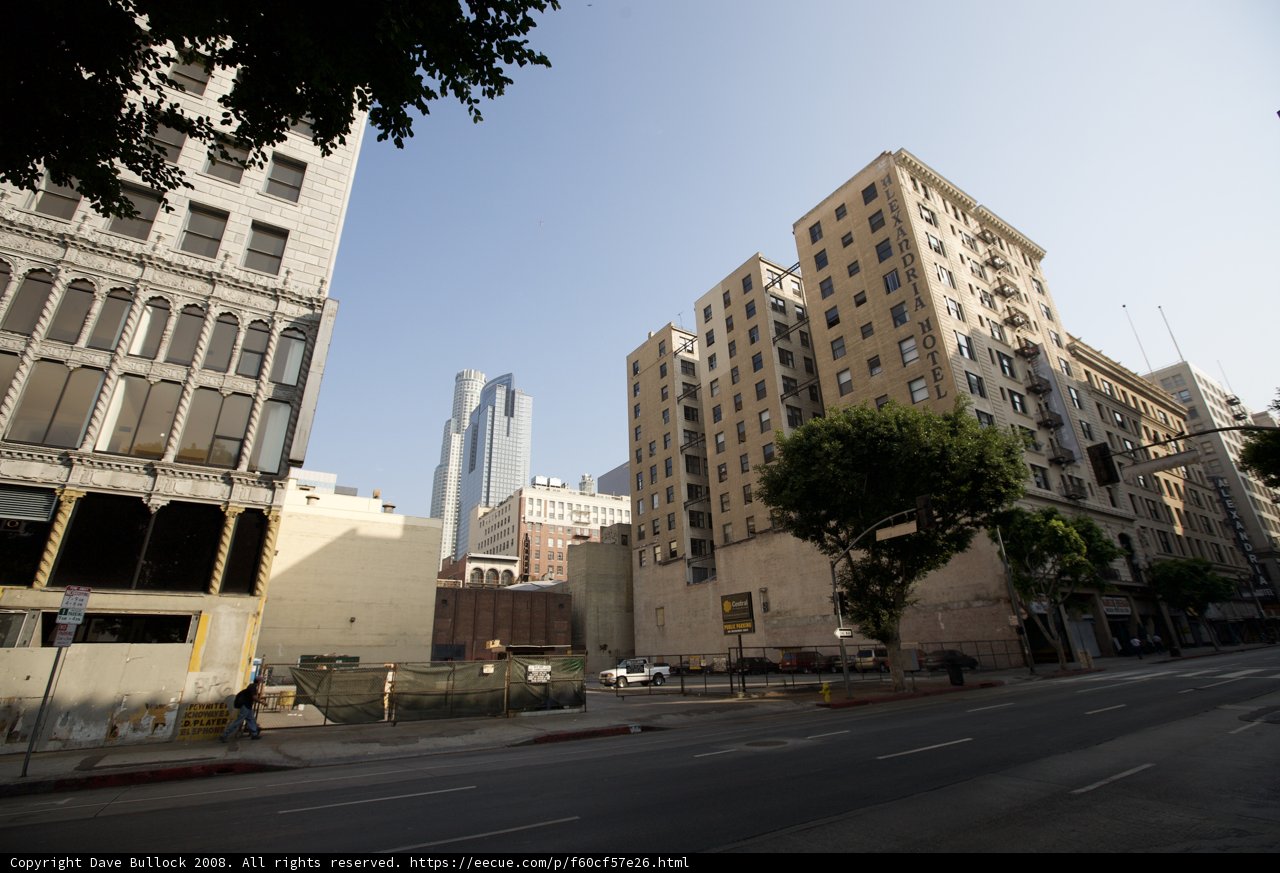 The Urban Jungle