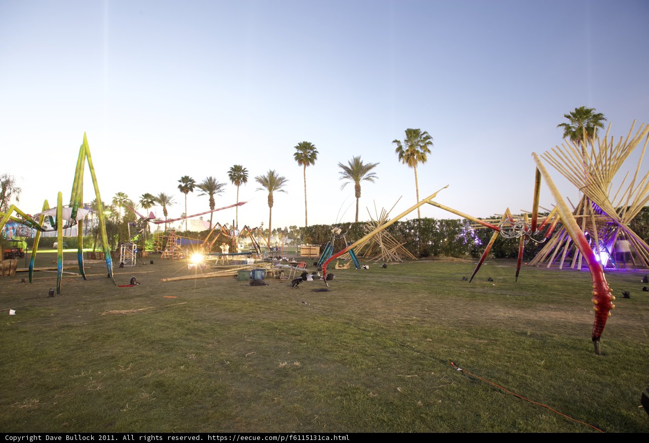 Summer Fun Among the Palm Trees