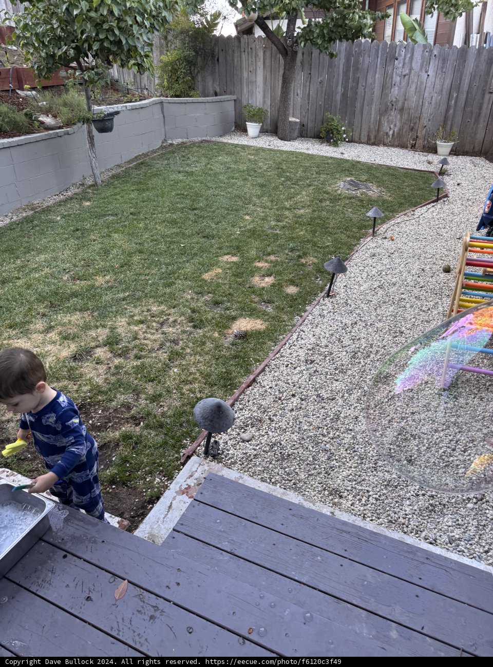 Backyard Adventures