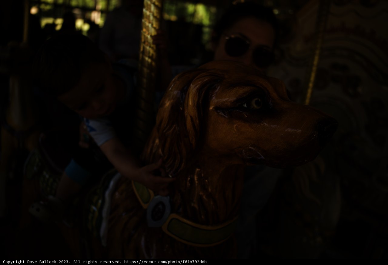 Afternoon Delight on the Carousel Ride