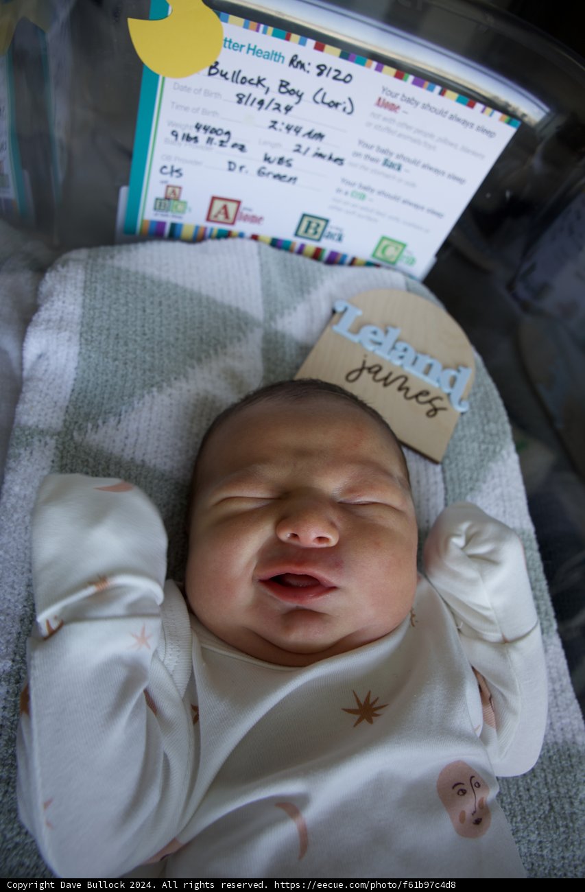 Welcome to the World, Leland