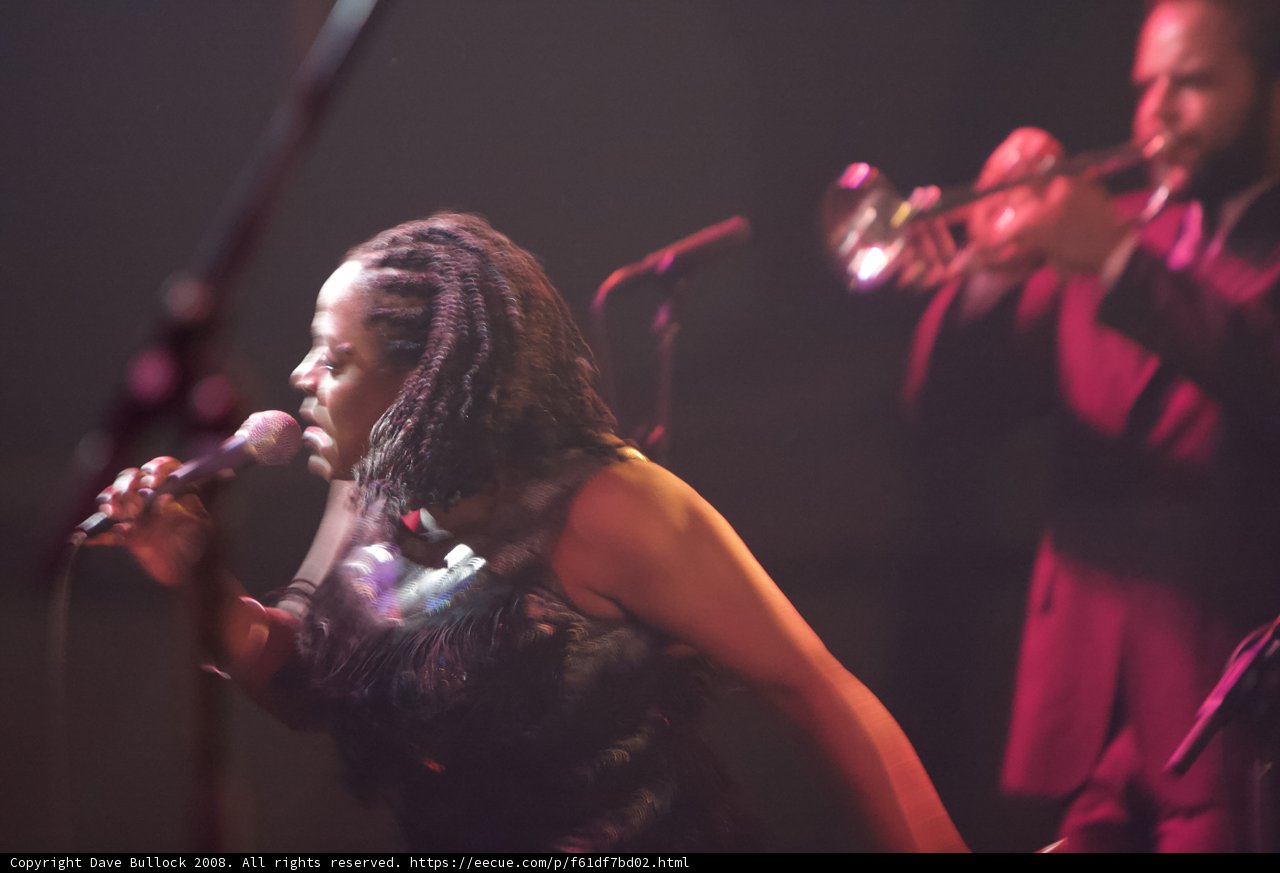 Jazz Performance at Coachella