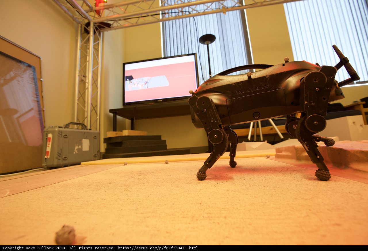 Robo-Entertainment