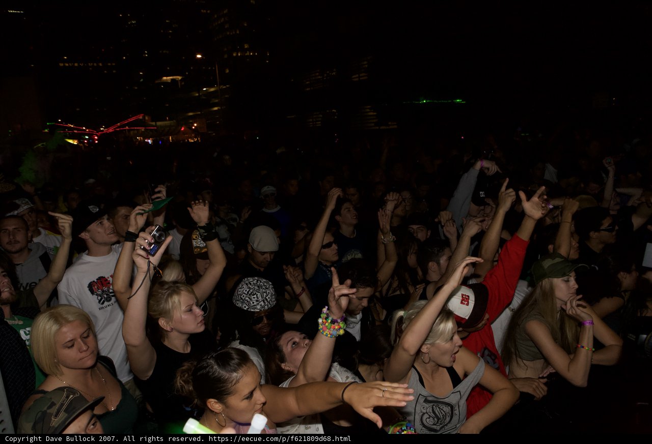 Nocturnal Dance Party