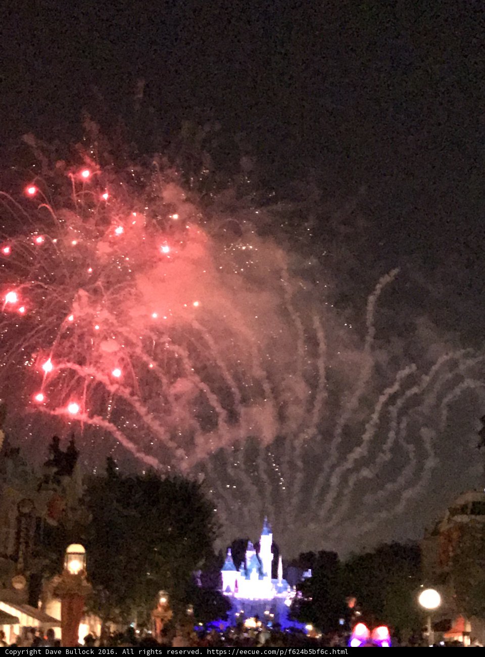 Night Sky Illuminated by Disneyland Fireworks