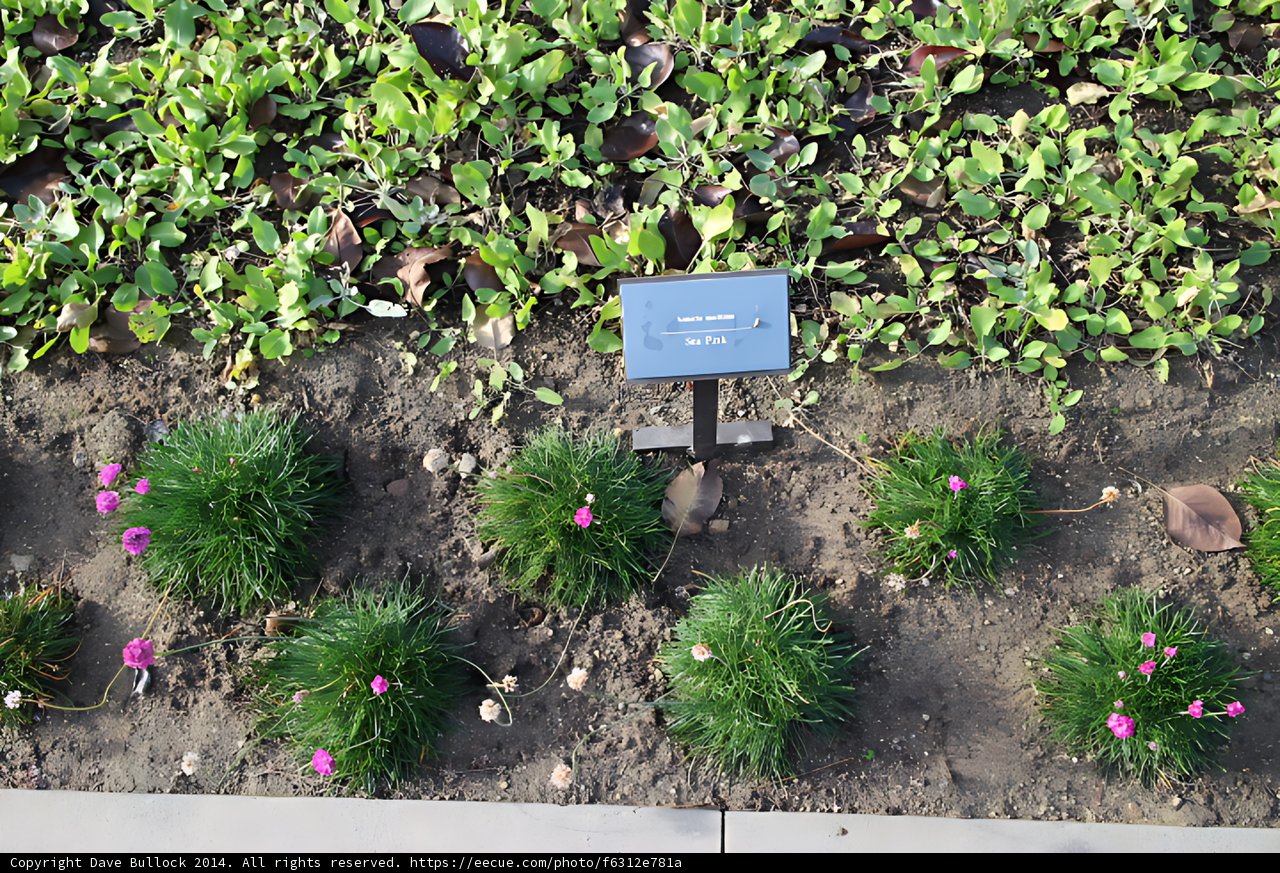 Herbal Garden Bed
