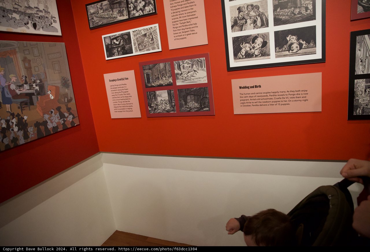 A Cherished Moment at Walt Disney Family Museum - 2024