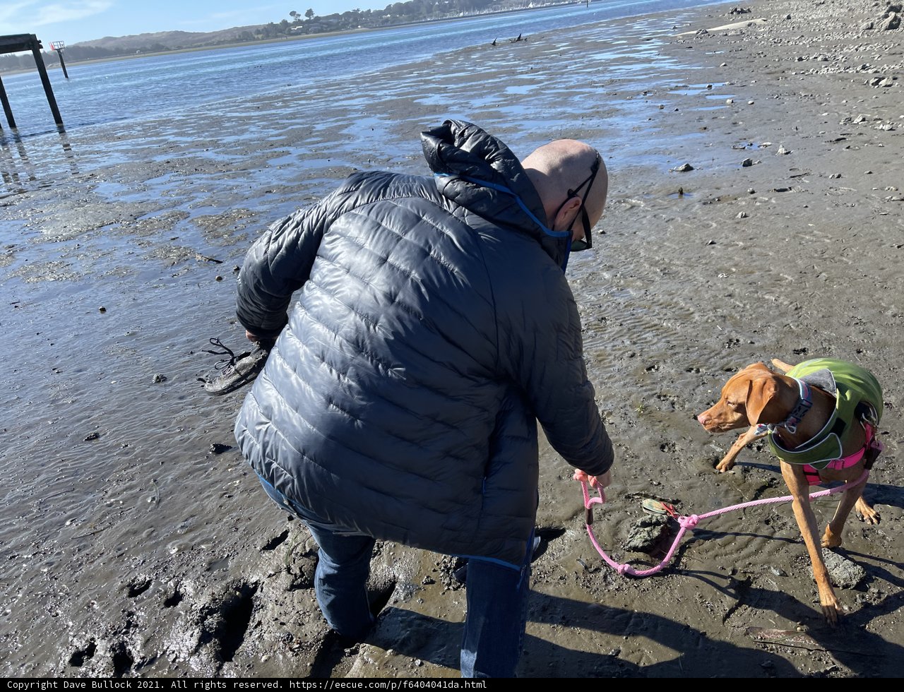 Coastal Adventure