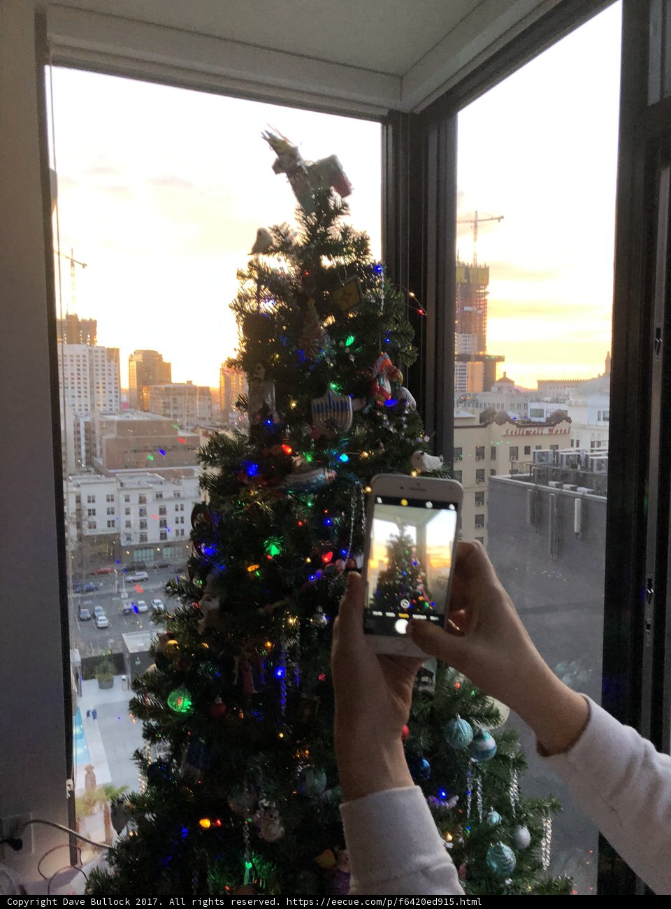 Capturing the Holiday Spirit