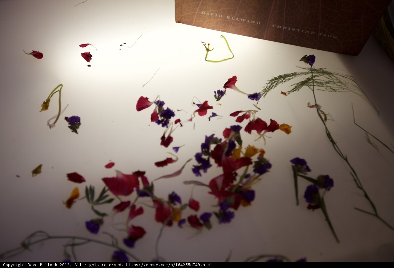 Blooming Pages