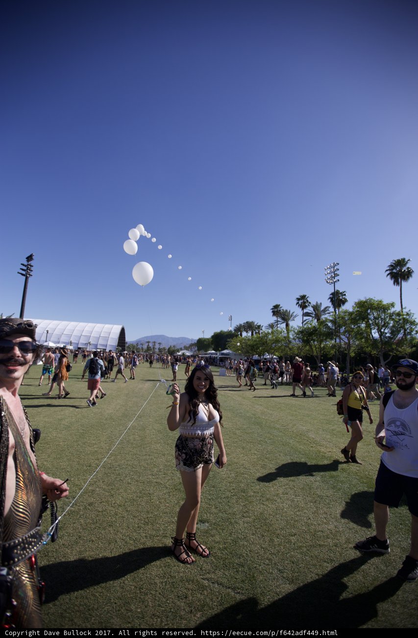 Coachella Crowd Soaking in the Sun