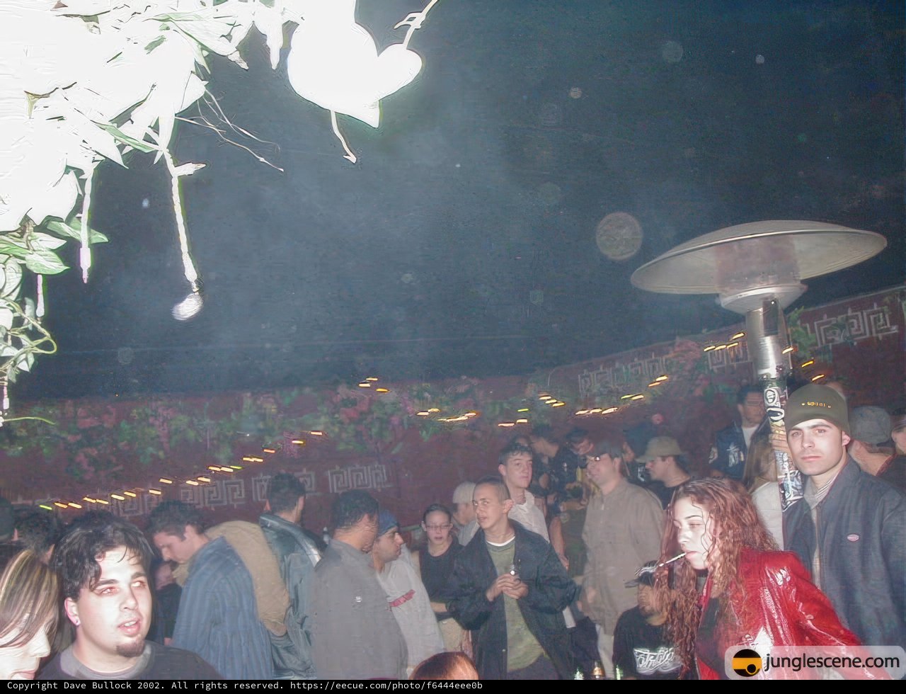 Smoke-filled Nightclub Party