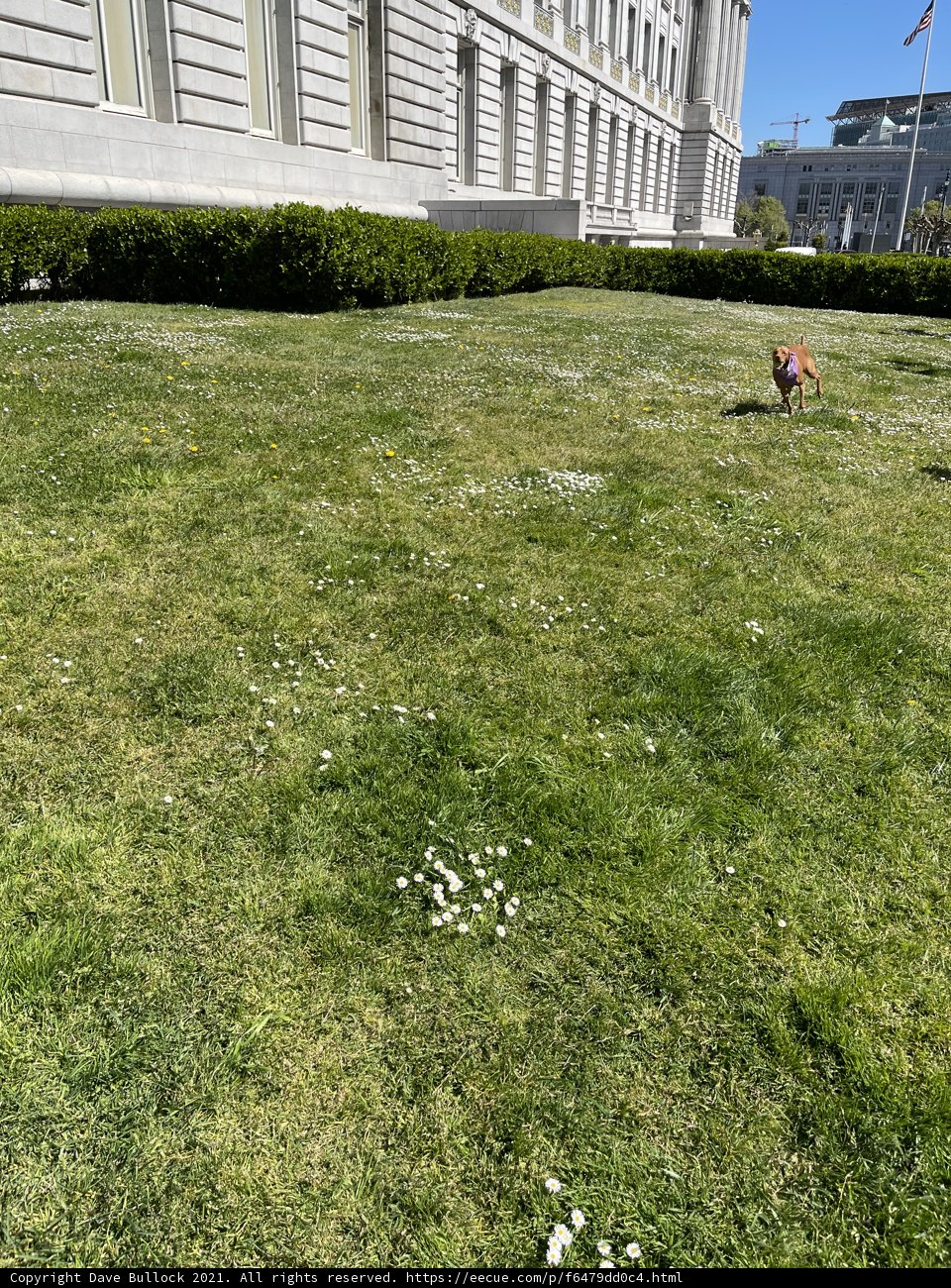 Playtime in the Park