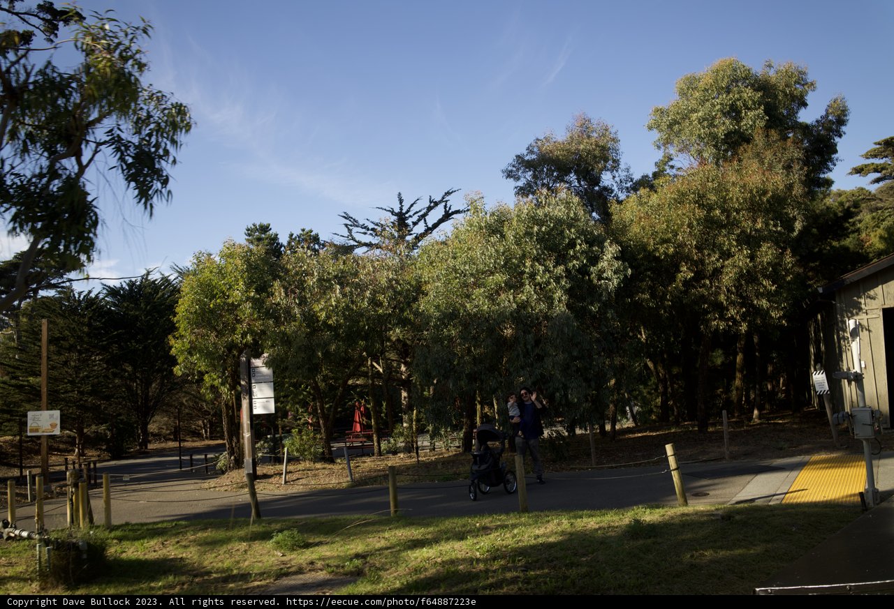 Nostalgic Stroll through the SF Zoo
