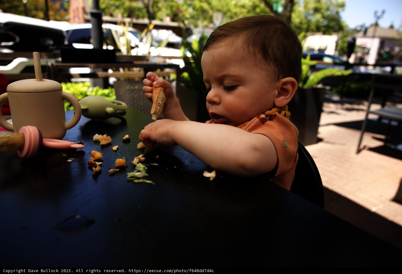 Wesley's Yummy Adventure