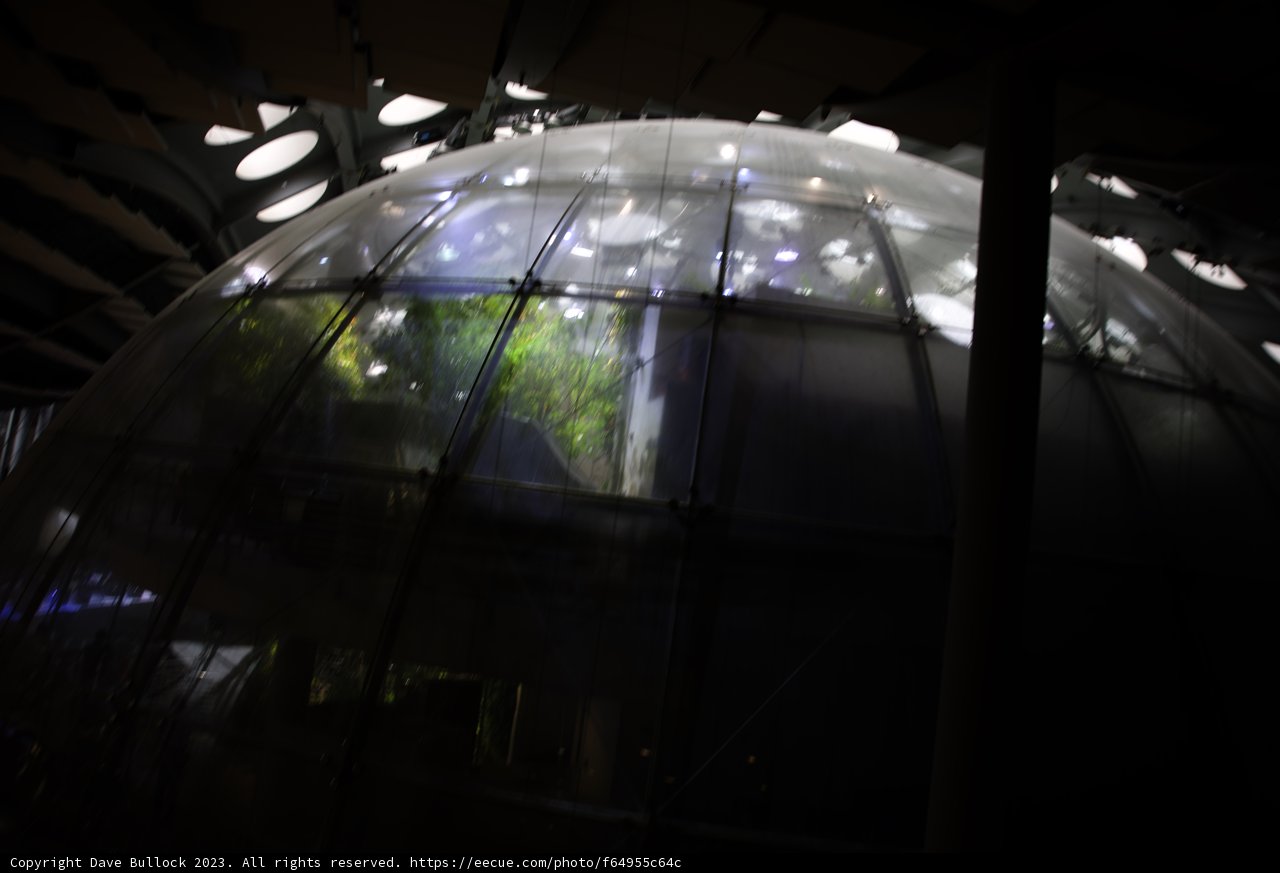 The Majestic Glass Dome at California Academy of Sciences