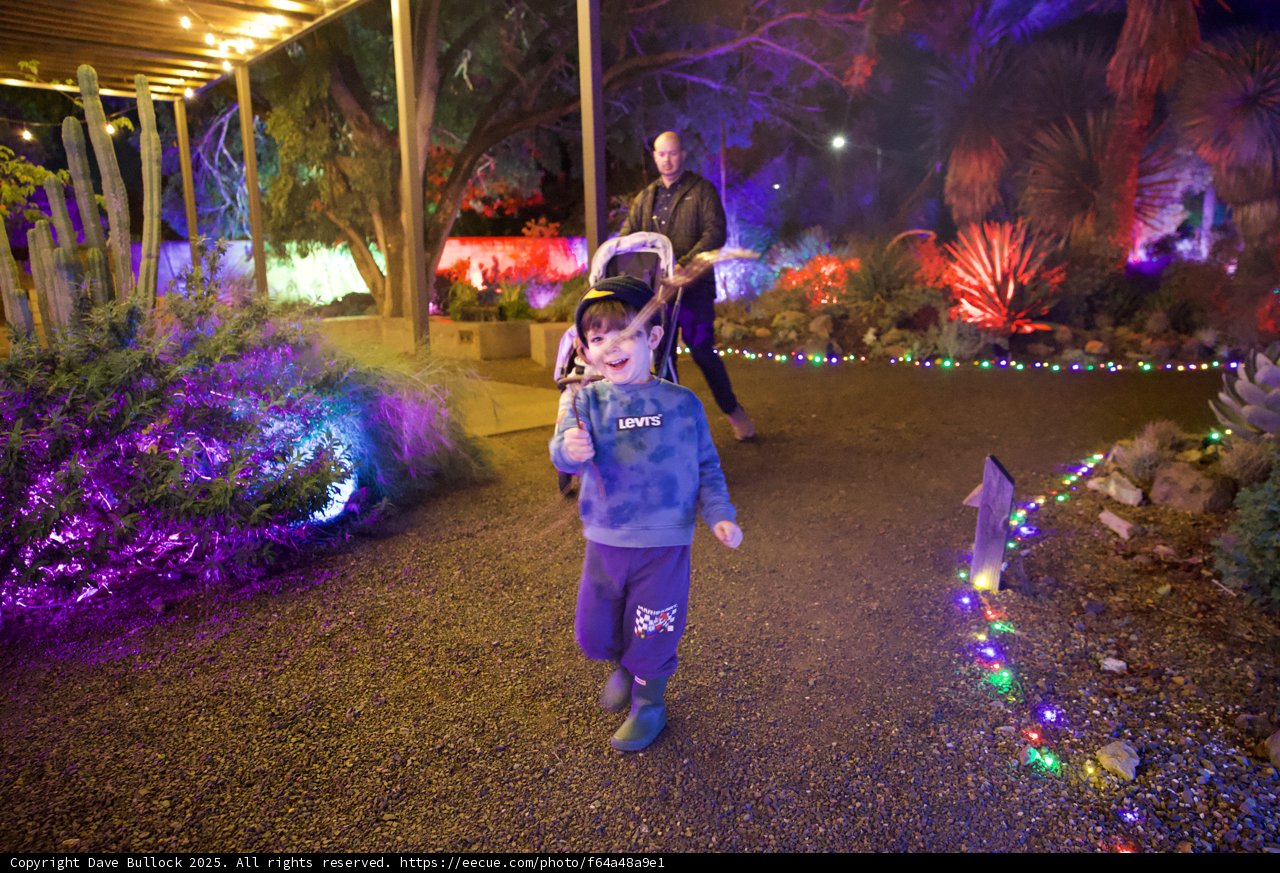 Enchanted Evening Stroll