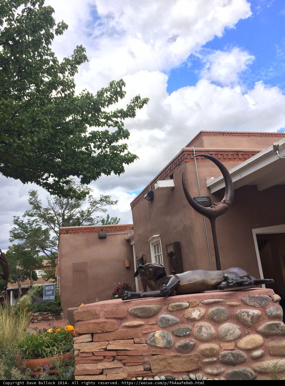 Majestic Tree and Rock in Santa Fe
